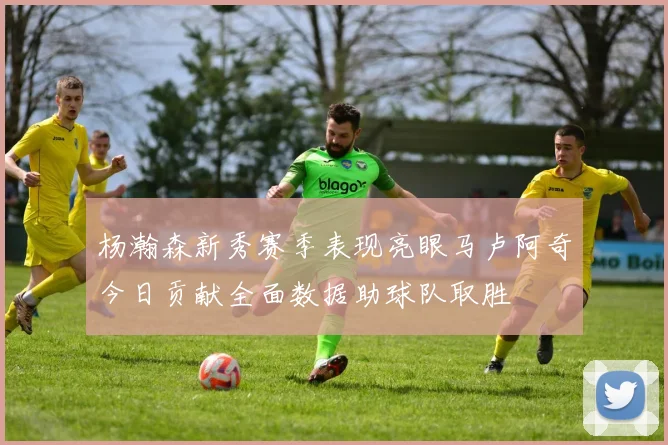 杨瀚森新秀赛季表现亮眼马卢阿奇今日贡献全面数据助球队取胜