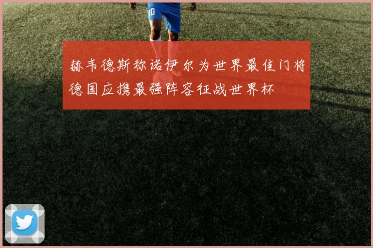 赫韦德斯称诺伊尔为世界最佳门将德国应携最强阵容征战世界杯